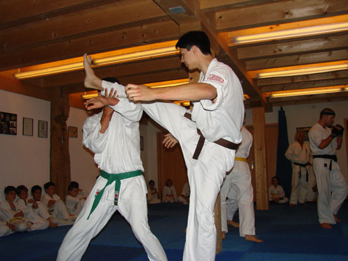 karate49